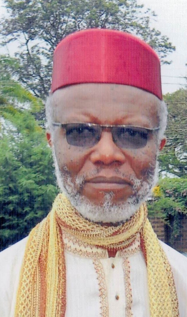 Isaac Aluochier - Principal, Aluochier Dispute Resolution